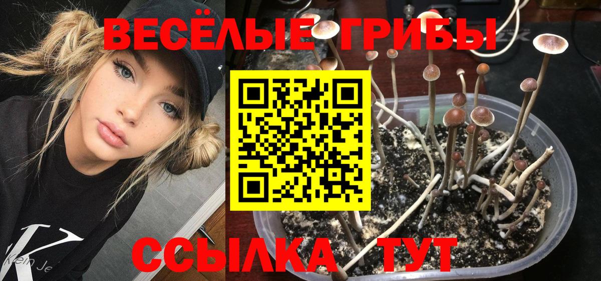 Галлюциногенные грибы GOLDEN TEACHER Азов